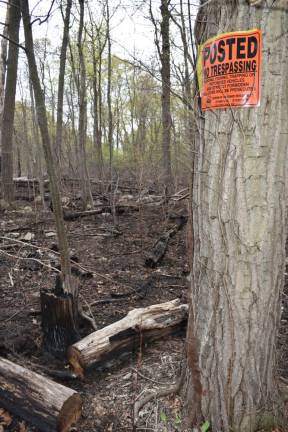 State officials, Mother Nature assist Kanouse wildfire recovery