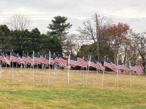 Flags set up as part of the West Milford Rotary Club’s annual Flags for Heroes project blow in the wind Monday, Nov. 4 at Bubbling Springs Park. The annual Veterans Day ceremony will be held at 11 a.m. Monday, Nov. 11 at Veterans Park in front of the municipal building, 1480 Union Valley Road. (Photo by Kathy Shwiff)