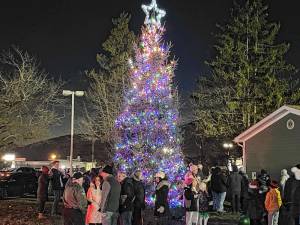 Greenwood Lake holds holiday festival, tree lighting