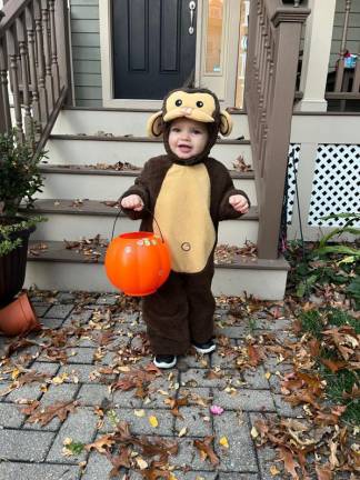 Monkeying around. (Photo submitted by Carol Louer)