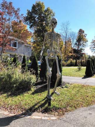 <b>Giant skeletons are popular Halloween decorations. (Photo by Kathy Shwiff)</b>