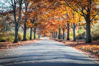 New Jersey State Botanical Garden in Ringwood. (Photo by Sammie Finch)