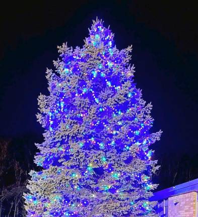 The second annual Winterfest ended with a tree lighting.