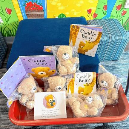 Donations will fund bears and books for pediatric cancer patients. (Photo provided)