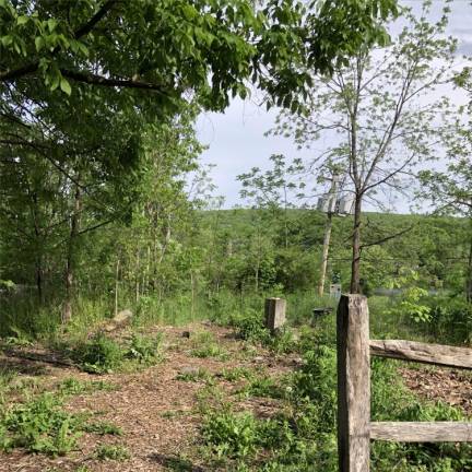 Native medicinal plant garden closed