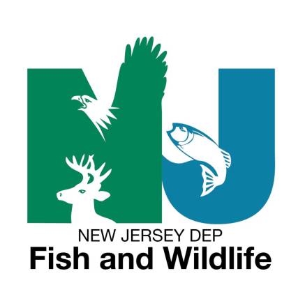 Trout stocking delayed