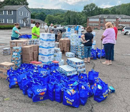 Troop 159 donates 8,000 pounds of food to pantries