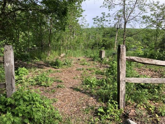 The triangle between Warwick Turnpike and Clinton Road in Hewitt, seen here May 23, was ‘adopted’ by the Nature Connection of West Milford and its predecessor in 2008. (Photo by Kathy Shwiff)