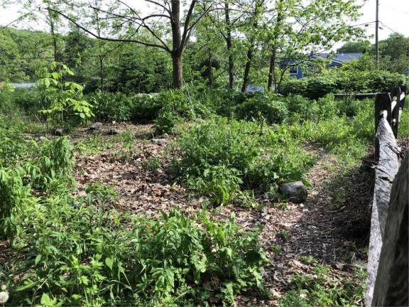 Native medicinal plant garden closed