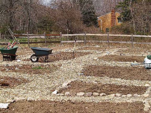 Community garden plots still available