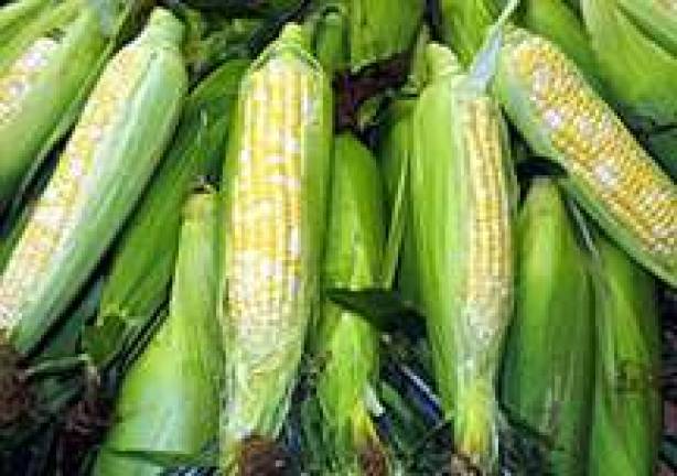 Get your Jersey on! Sweet Corn and Jersey Tomato Fest at Lafayette Village