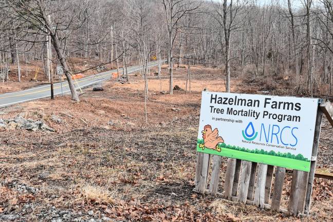 Dead trees, weeds, brush and invasive groundcover were cleared along roads bordering Hazelman Farms to beautify the terrain and make the farm’s 73 acres more environmentally friendly, sustainable and safe for generations to come.