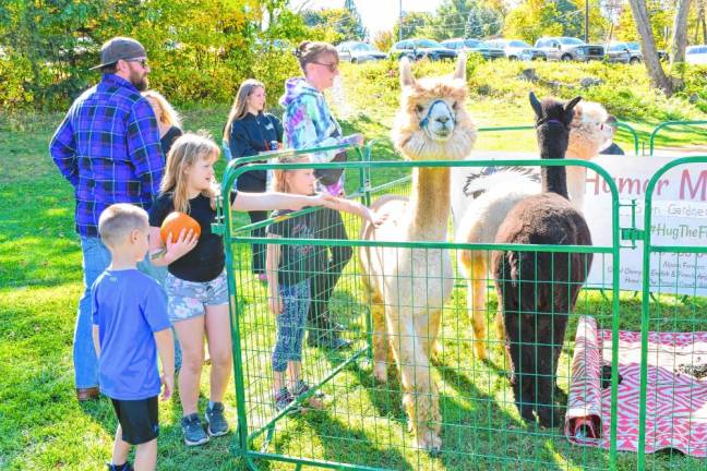 Children pet alpacas in a petting zoo during the third annual Harvest Festival sponsored by the Passaic County Sheriff’s Office on Saturday, Oct. 12 at Bubbling Springs Park. (Photos by Maria Kovic)