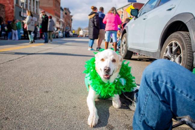 Port Jervis St. Patrick's Day Parade on March 5, 2023