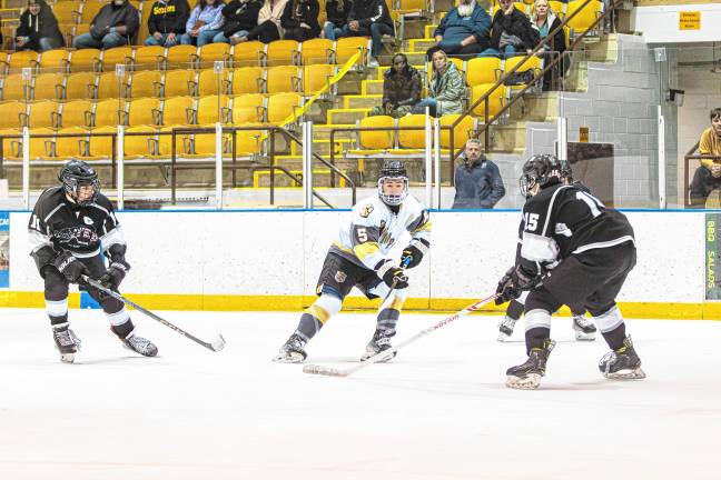 Photos: Ice hockey team falls in sectional final, 8-3