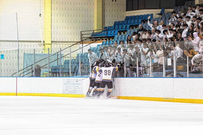 The game was played at Mennen Arena in Morris Township.