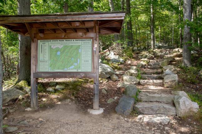 <b>Harriman State Park, Harriman, NY. Photo by Sammie Finch</b>