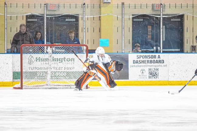 Photos: Ice hockey team falls in sectional final, 8-3