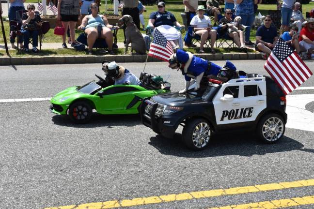 WMP6 Puppies ride in remote-controlled cars.