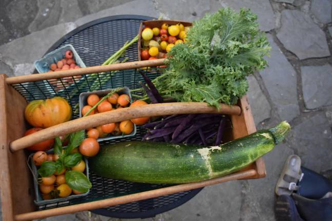 Each day in September begins with a trip to the garden. This was the haul on Sept. 2. Photos by Becca Tucker.