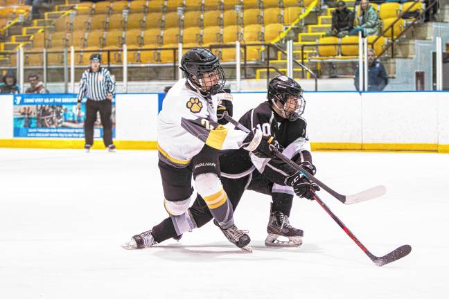 Photos: Ice hockey team falls in sectional final, 8-3