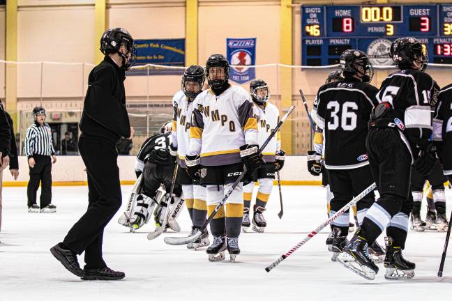 Photos: Ice hockey team falls in sectional final, 8-3