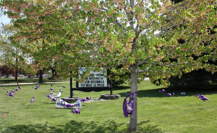 West Milford Town Hall grounds got flocked! Purple flamingos dotted the lawn in town on Saturday, drawing the attention of passing motorists. The purple birds and ribbons tied 'round the trees are symbolic of The Relay for Life of the Highlands which will be held on June 9/10. Photo by Ginny Raue