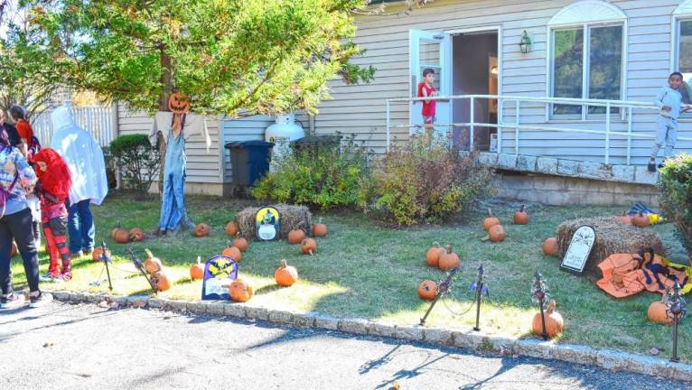 The pumpkin patch.