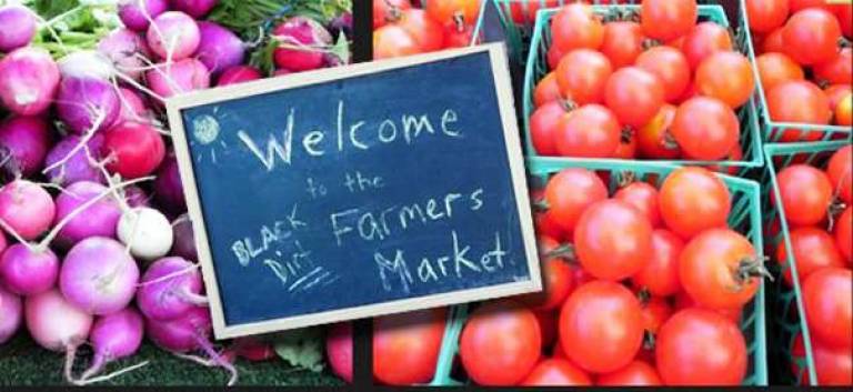 Pine Island Black Dirt Farmers Market opens June 16