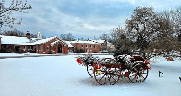 Photos: White Christmas