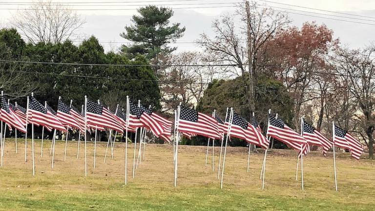 Flags set up as part of the West Milford Rotary Club’s annual Flags for Heroes project blow in the wind Monday, Nov. 4 at Bubbling Springs Park. The annual Veterans Day ceremony will be held at 11 a.m. Monday, Nov. 11 at Veterans Park in front of the municipal building, 1480 Union Valley Road. (Photo by Kathy Shwiff)